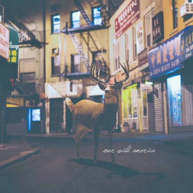 Review: Our Wild America – Self-Titled