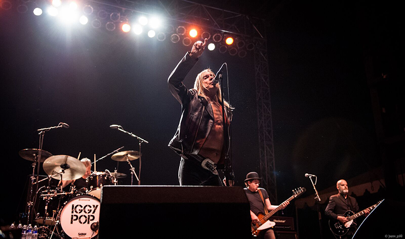 Iggy Pop @ Riot Fest 2015. Photo: Jason Gold