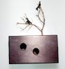 Crow Tree by Lenka Konopasek 2011 Box, Paper, Scissor show. 