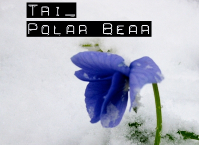 Local Review: Tri-Polar Bear – The Hibernation EP
