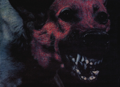 Review: Protomartyr – Under Color of Official Right