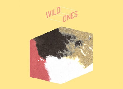 Reviews: Wild Ones –  Keep it Safe