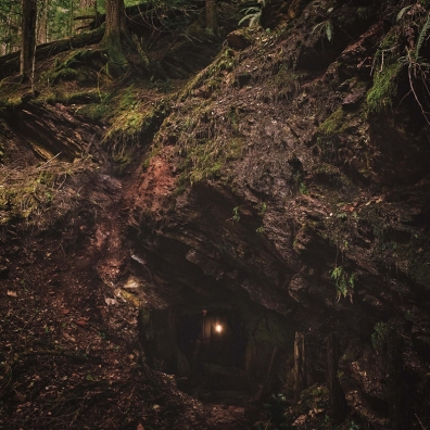 Review: Baptists – Bloodlines