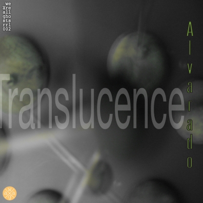 Local Review: Christopher Alvarado – Translucence