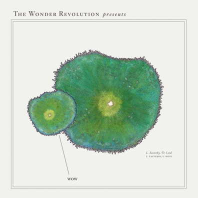 Review: The Wonder Revolution – Wow