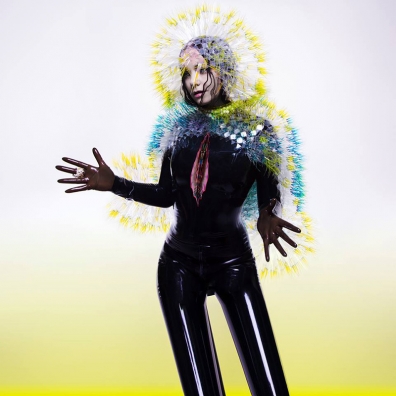 Review: Björk – Vulnicura
