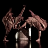 Delightful Aggression: Stephen Brown Dance Performs Of Meat and Marrow