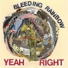Bleeding Rainbow with Akron/Family, A Place To Bury Strangers @ Urban 11.08