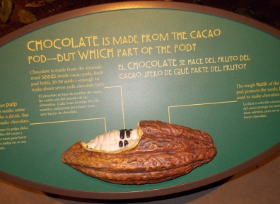 Chocolate: The Exhibit @ The Natural History Museum of Utah