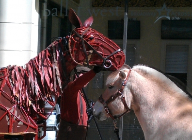 War Horse @ Capitol Theater 04.22
