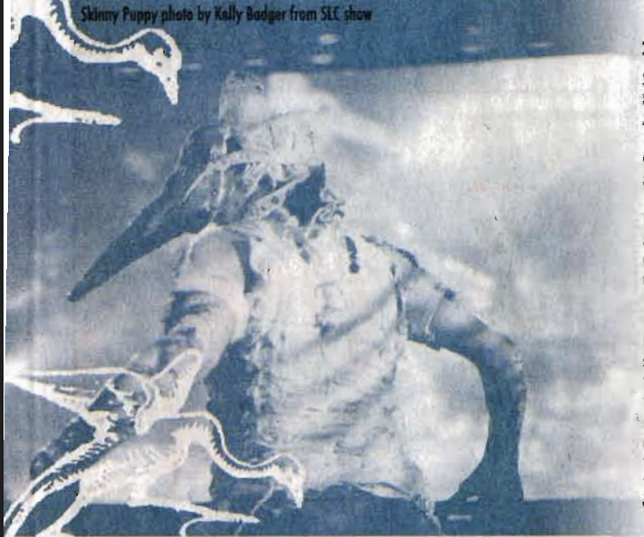 Modus Operandi – September 2005