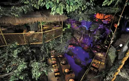 Your Adventure is About to Depart: An Evening at The Mayan