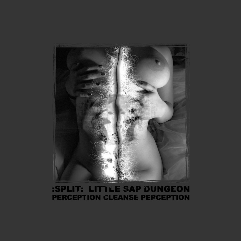 Local Reviews: Little Sap Dungeon/Perception Cleanse/Perception