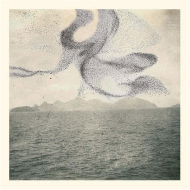 Snow Ghosts - A Small Murmuration album artwork
