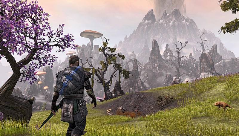 The Elder Scrolls Online: How the Fantasy Game Keeps it Real