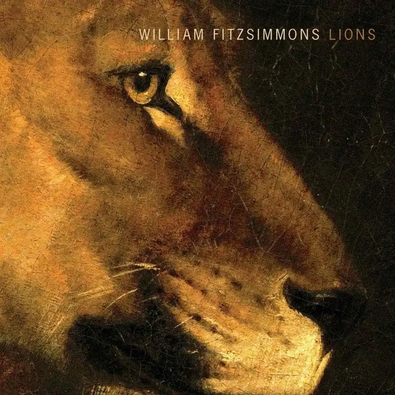 Review: William Fitzsimmons – Lions