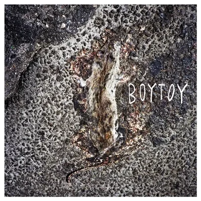 Cover art for Self-Titled by BOYTOY.