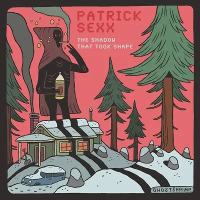 Album artwork for Patrick Sexx - The Shadow That Took Shape.