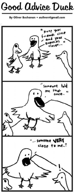 Good Advice Duck
