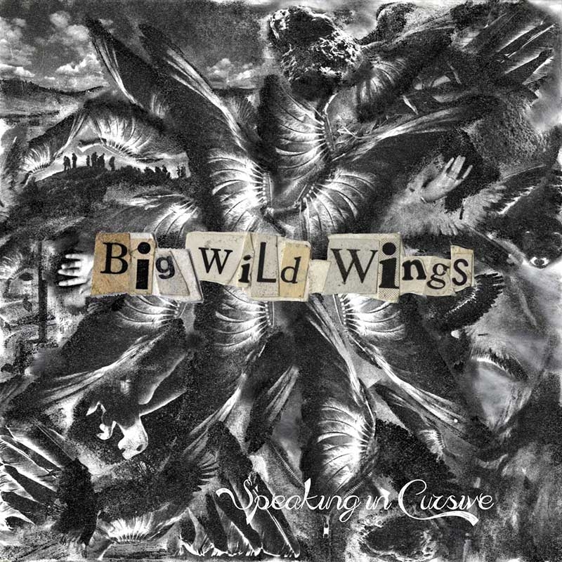 Top 5: Big Wild Wings