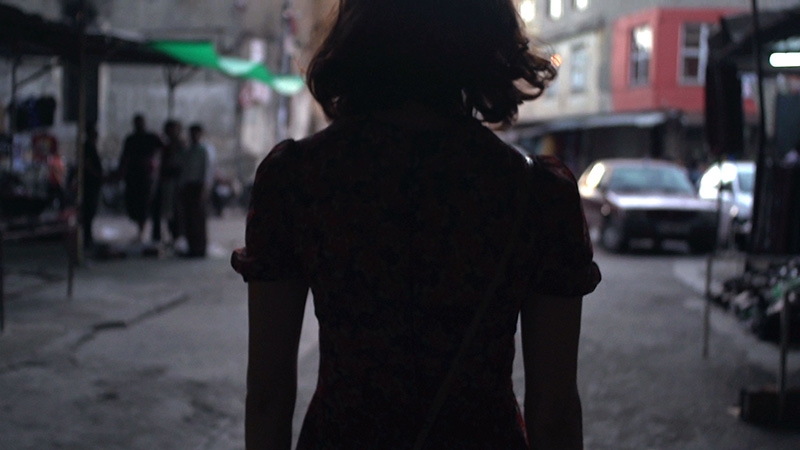 Sundance Film Review: The Amina Profile