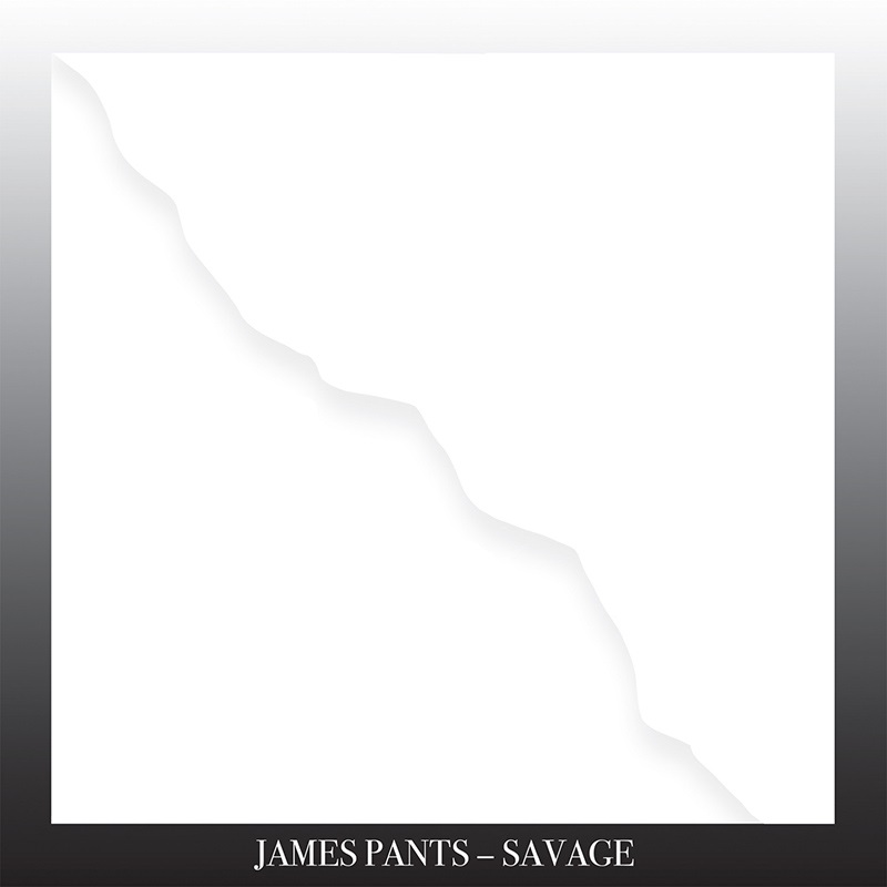 Review: James Pants – Savage