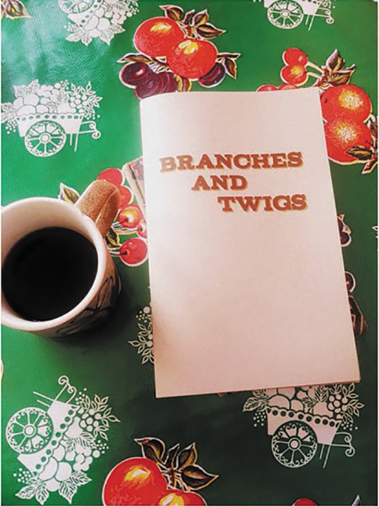 Review: Branches and Twigs