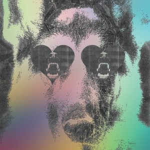 crocodiles boys album cover