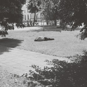 self defense family heaven is earth album cover