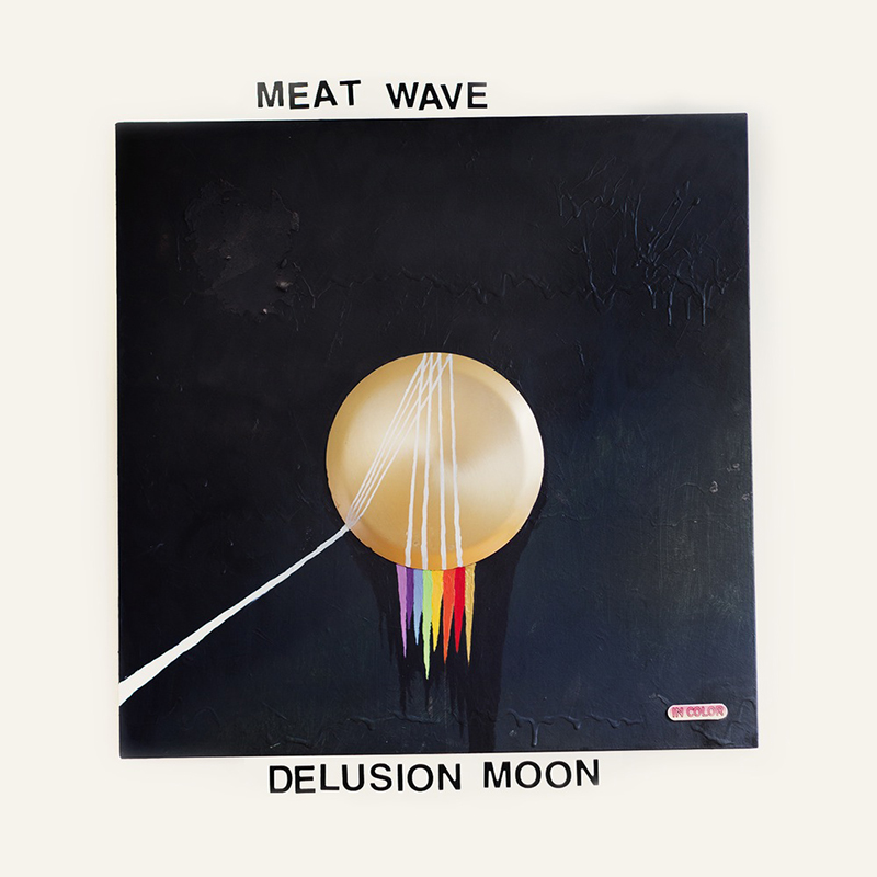 Review: Meat Wave – Delusion Moon