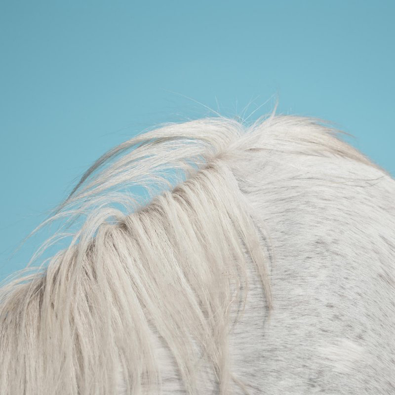 Review: Widowspeak – All Yours