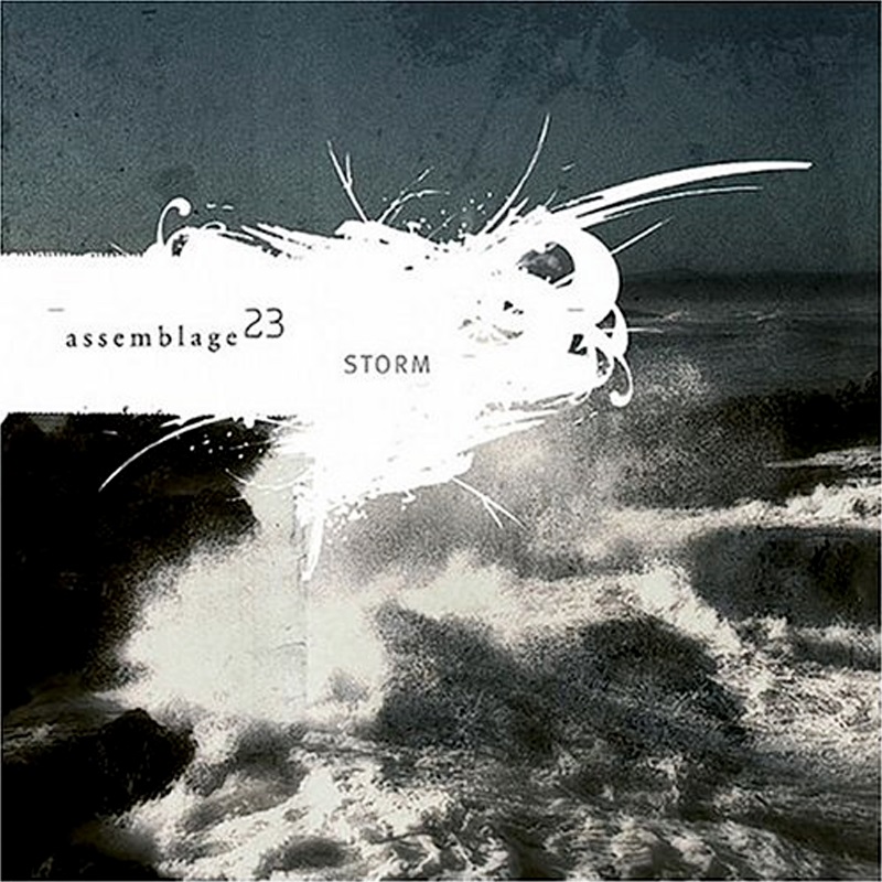 Review: Assemblage 23 – Storm