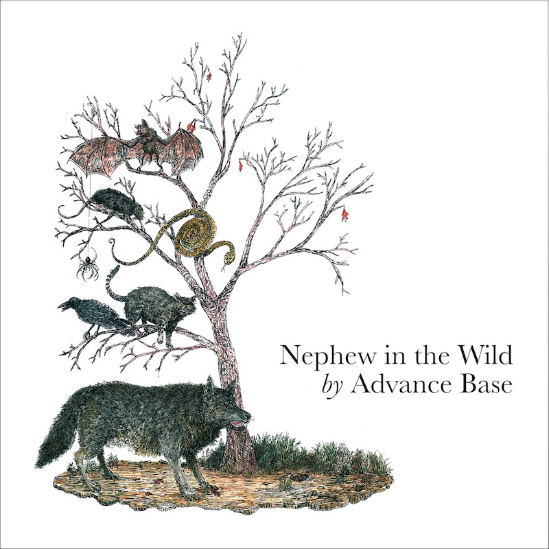 Review: Advance Base – Nephew In the Wild