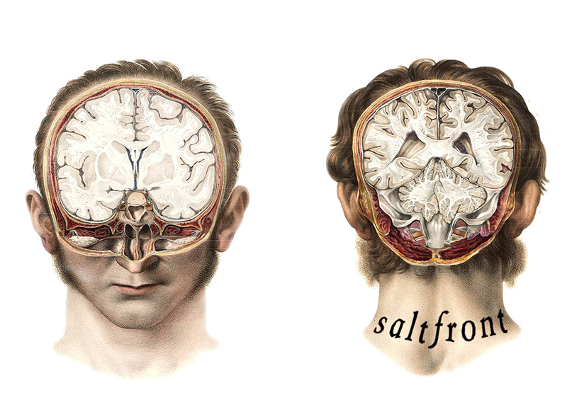 Review: Saltfront Vol. 3