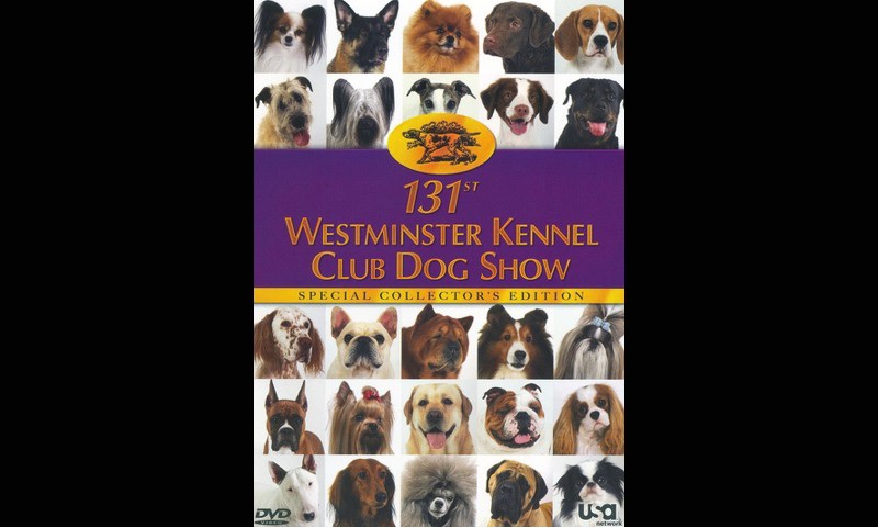 Review: 131st Westminster Kennel Club Dog Show