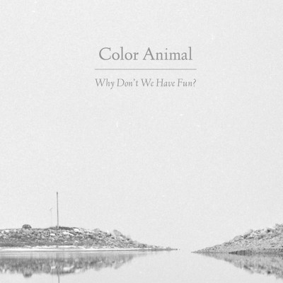 Color Animal's Why Don't We Have Fun album artwork