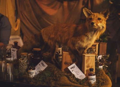 This curious taxidermied fox wants to get in on the conversation. Photo: Talyn Sherer