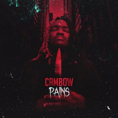 Cambow |PAiNS