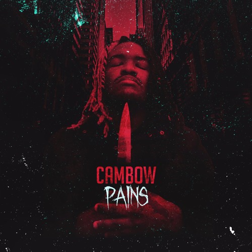 Local Review: Cambow – PAiNS