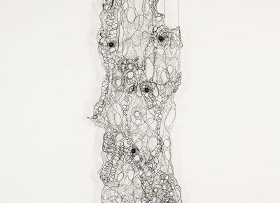 Julianne Swartz, Lace Skin Tear. Image courtesy of the artist and the Utah Museum of Fine Arts