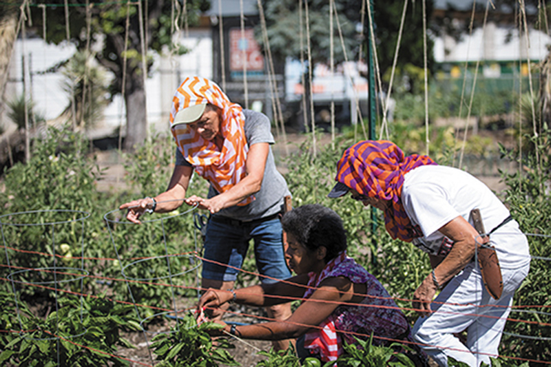 (L–R) Lynette, Ira and Joy participate in Wasatch Community Gardens’ GREEN TEAM, which guides homeless women through education on how to garden amid other life skills.