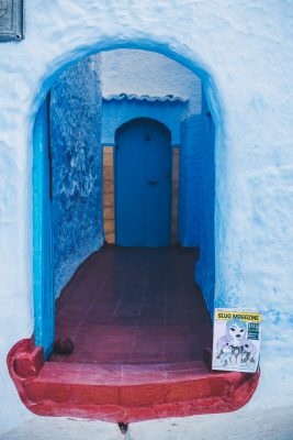SLUG Mag delivered right to your doorstop even if you live in the mountainous town of Chefchaouen, Morocco. Photo: Talyn Sherer