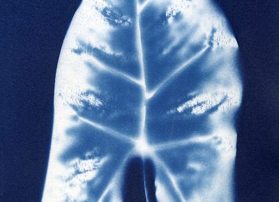 Nancy Rivera, "Herbarium Obscura 1"