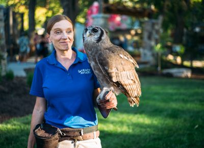 A Tracy Aviary handler walks around with a milky eagle owl, native to Africa. Photo: @clancycoop