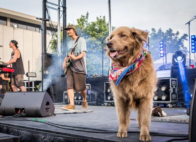 Stick Figure takes the stage with their rescue dog Cocoa.