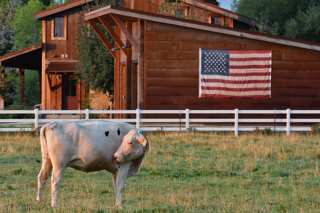 Reinvesting in the Land: Heber Valley Artisan Cheese