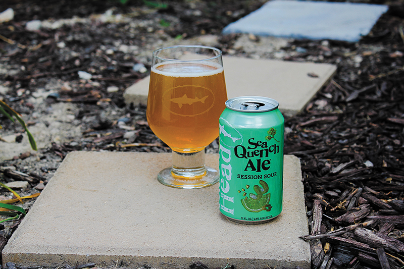 SeaQuench Ale pours a light-straw yellow that falls on the hazy side of the spectrum.