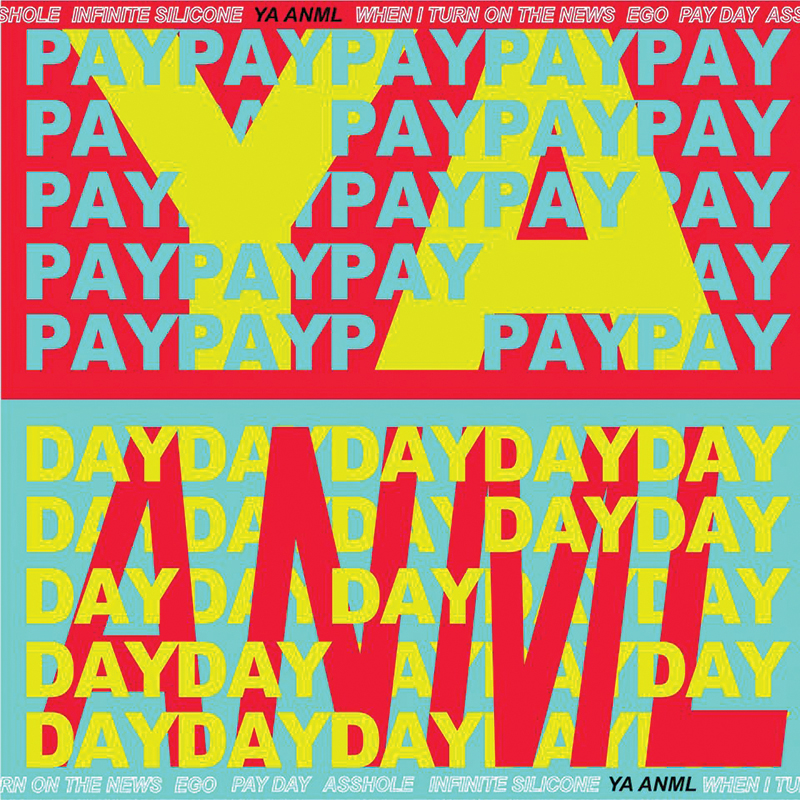 YA ANML | Payday | Self-Released