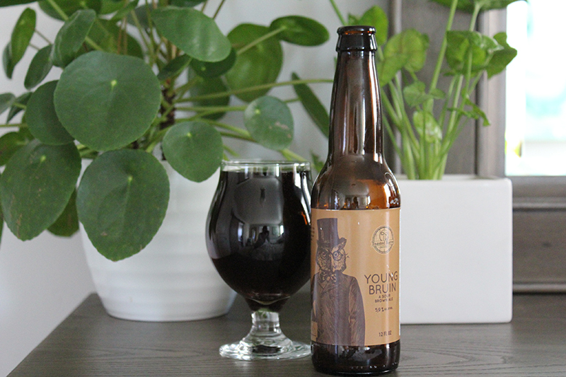 Beer of the Month: Young Bruin