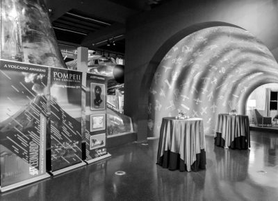 The entrance into the Gala was quite the elegant affair.